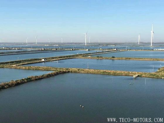 【電廠】天潤鹽城大豐試驗(yàn)風(fēng)電場工程最后一臺(tái)風(fēng)機(jī)順利就位
