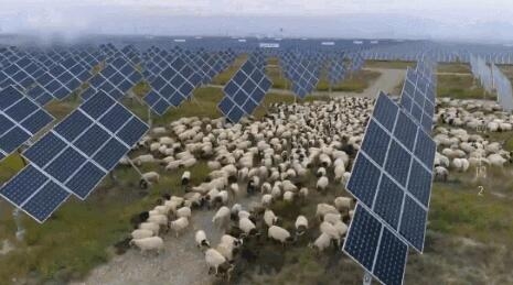 【電廠】2018年水電再次霸屏央視 水光互補(bǔ)項(xiàng)目閃亮登場！【電廠】2018年水電再次霸屏央視 水光互補(bǔ)項(xiàng)目閃亮登場！ 行業(yè)資訊 第6張