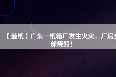 【造紙】廣東一紙箱廠發(fā)生火災(zāi)，廠房全部燒毀！