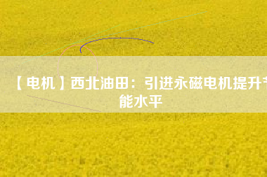 【電機】西北油田：引進(jìn)永磁電機提升節(jié)能水平
          