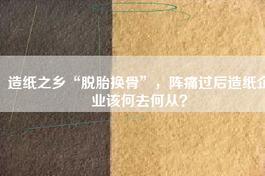 造紙之鄉(xiāng)“脫胎換骨”，陣痛過后造紙企業(yè)該何去何從？