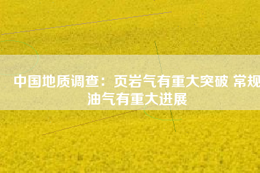 中國(guó)地質(zhì)調(diào)查：頁巖氣有重大突破 常規(guī)油氣有重大進(jìn)展
