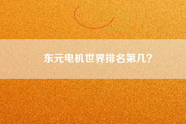 東元電機(jī)世界排名第幾？