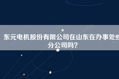 東元電機(jī)股份有限公司在山東在辦事處或分公司嗎？