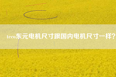 teco東元電機(jī)尺寸跟國內(nèi)電機(jī)尺寸一樣？