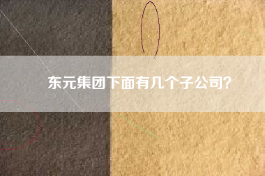 東元集團下面有幾個子公司？