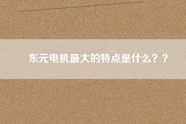 東元電機(jī)最大的特點是什么？？