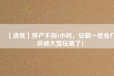 【造紙】停產(chǎn)不到1小時(shí)，安徽一紙業(yè)廠房被大雪壓塌了！