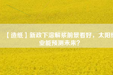 【造紙】新政下溶解漿前景看好，太陽(yáng)紙業(yè)能預(yù)測(cè)未來(lái)？