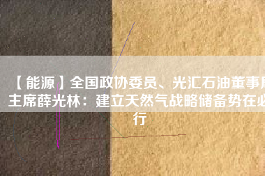 【能源】全國(guó)政協(xié)委員、光匯石油董事局主席薛光林：建立天然氣戰(zhàn)略儲(chǔ)備勢(shì)在必行