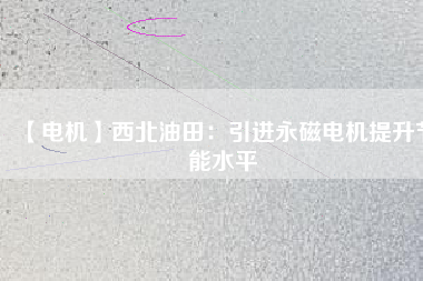 【電機】西北油田：引進(jìn)永磁電機提升節(jié)能水平
          