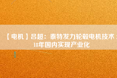 【電機(jī)】呂超：泰特發(fā)力輪轂電機(jī)技術(shù) 2018年國(guó)內(nèi)實(shí)現(xiàn)產(chǎn)業(yè)化
          