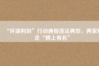 “環(huán)湖利劍”行動(dòng)通報(bào)違法典型，兩家紙企“榜上有名”