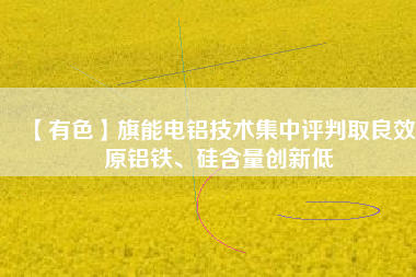 【有色】旗能電鋁技術(shù)集中評(píng)判取良效 原鋁鐵、硅含量創(chuàng)新低