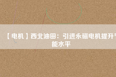 【電機】西北油田：引進(jìn)永磁電機提升節(jié)能水平
          