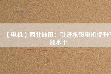 【電機】西北油田：引進(jìn)永磁電機提升節(jié)能水平
          