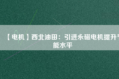 【電機】西北油田：引進(jìn)永磁電機提升節(jié)能水平
          