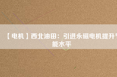 【電機】西北油田：引進(jìn)永磁電機提升節(jié)能水平
          