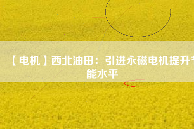 【電機】西北油田：引進(jìn)永磁電機提升節(jié)能水平
          
