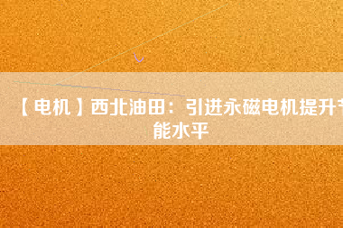 【電機】西北油田：引進(jìn)永磁電機提升節(jié)能水平
          