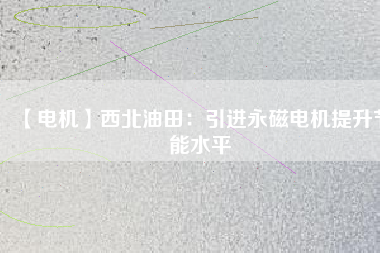 【電機】西北油田：引進(jìn)永磁電機提升節(jié)能水平
          
