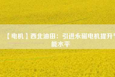 【電機】西北油田：引進(jìn)永磁電機提升節(jié)能水平
          