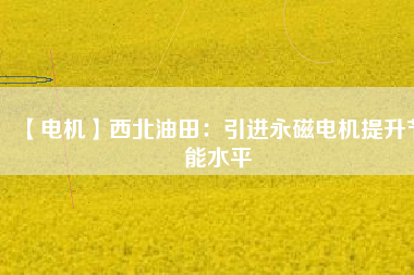 【電機】西北油田：引進(jìn)永磁電機提升節(jié)能水平
          