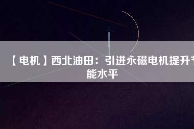 【電機】西北油田：引進(jìn)永磁電機提升節(jié)能水平
          