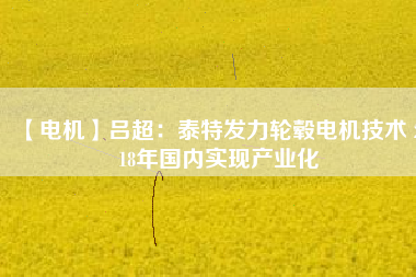 【電機(jī)】呂超：泰特發(fā)力輪轂電機(jī)技術(shù) 2018年國(guó)內(nèi)實(shí)現(xiàn)產(chǎn)業(yè)化
          