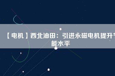 【電機】西北油田：引進(jìn)永磁電機提升節(jié)能水平
          