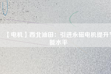 【電機】西北油田：引進(jìn)永磁電機提升節(jié)能水平
          