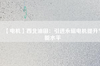 【電機】西北油田：引進(jìn)永磁電機提升節(jié)能水平
          