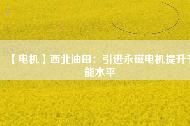 【電機】西北油田：引進(jìn)永磁電機提升節(jié)能水平
          