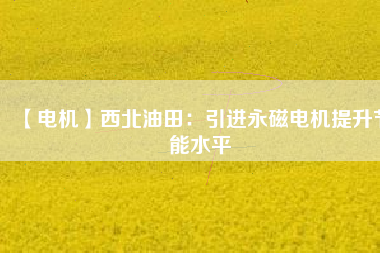 【電機】西北油田：引進(jìn)永磁電機提升節(jié)能水平
          