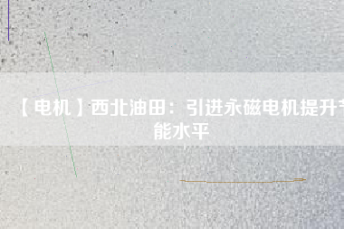 【電機】西北油田：引進(jìn)永磁電機提升節(jié)能水平
          
