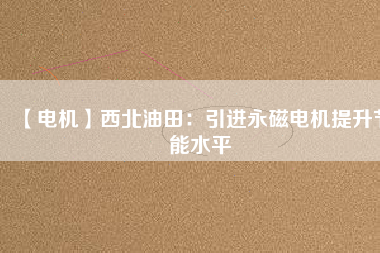 【電機】西北油田：引進(jìn)永磁電機提升節(jié)能水平
          