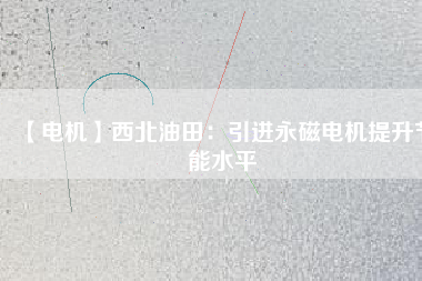 【電機】西北油田：引進(jìn)永磁電機提升節(jié)能水平
          