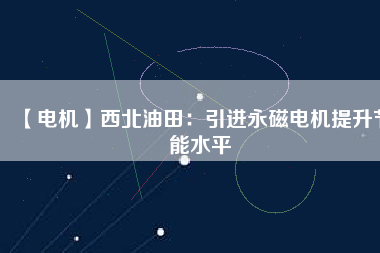 【電機】西北油田：引進(jìn)永磁電機提升節(jié)能水平
          