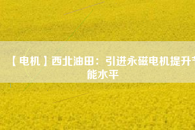 【電機】西北油田：引進(jìn)永磁電機提升節(jié)能水平
          