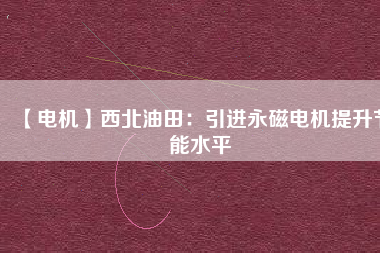 【電機】西北油田：引進(jìn)永磁電機提升節(jié)能水平
          