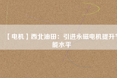 【電機】西北油田：引進(jìn)永磁電機提升節(jié)能水平
          