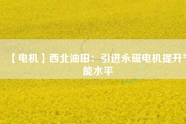 【電機】西北油田：引進(jìn)永磁電機提升節(jié)能水平
          