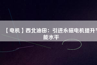 【電機】西北油田：引進(jìn)永磁電機提升節(jié)能水平
          