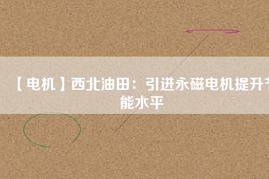 【電機】西北油田：引進(jìn)永磁電機提升節(jié)能水平
          