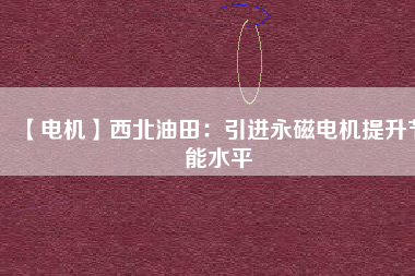 【電機】西北油田：引進(jìn)永磁電機提升節(jié)能水平
          