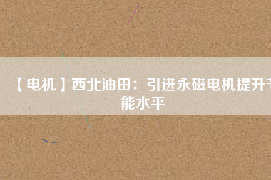 【電機】西北油田：引進(jìn)永磁電機提升節(jié)能水平
          