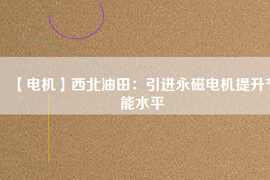 【電機】西北油田：引進(jìn)永磁電機提升節(jié)能水平
          