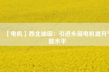 【電機】西北油田：引進(jìn)永磁電機提升節(jié)能水平
          