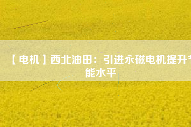【電機】西北油田：引進(jìn)永磁電機提升節(jié)能水平
          