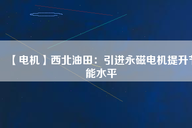 【電機】西北油田：引進(jìn)永磁電機提升節(jié)能水平
          